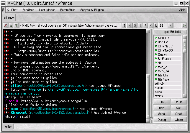 L'interface Gnome d'IRC n'a elle non plus  rien  envier aux versions Microsoft